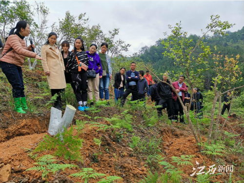全國最美林草科技推廣員劉蕾 把科技論文寫在贛鄱大地上